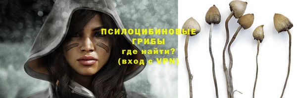 jwh Верхний Тагил