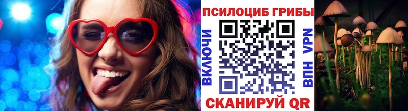 где можно купить наркотик  Новохопёрск  Галлюциногенные грибы мицелий 